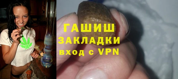 молекула духа Осташков