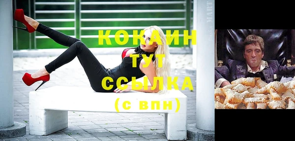 кокс Алексин