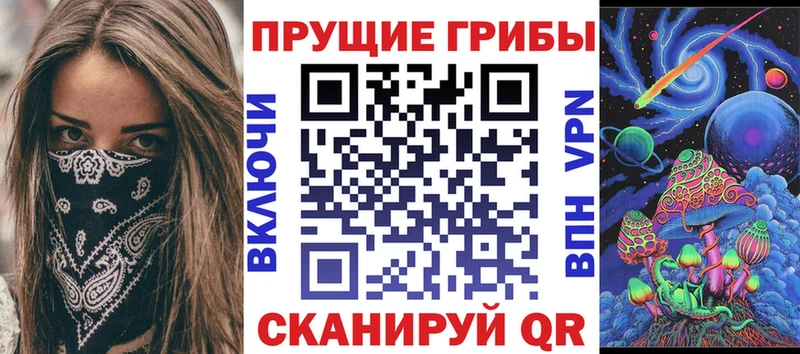 как найти закладки  Железноводск  Псилоцибиновые грибы Psilocybe 